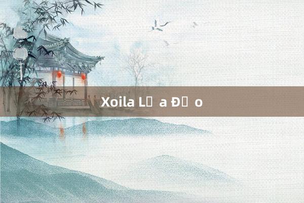 Xoila Lừa Đảo