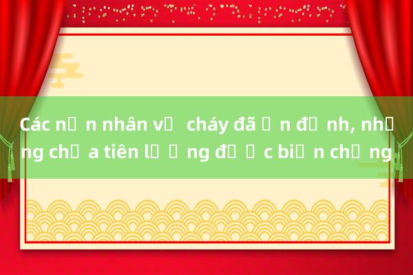 Các nạn nhân vụ cháy đã ổn định， nhưng chưa tiên lượng được biến chứng