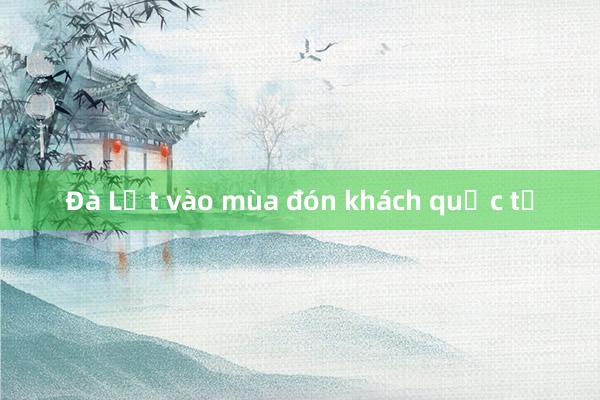 Đà Lạt vào mùa đón khách quốc tế