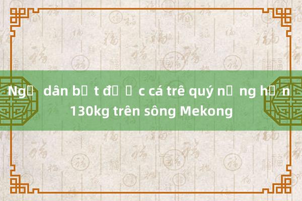 Ngư dân bắt được cá trê quý nặng hơn 130kg trên sông Mekong